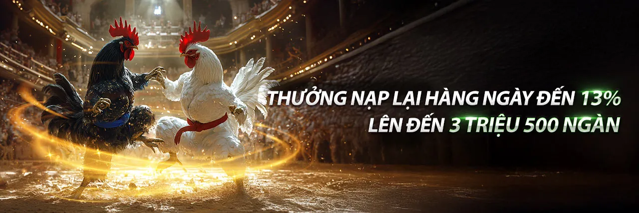 Tổng quan về 13win21 nhà cái