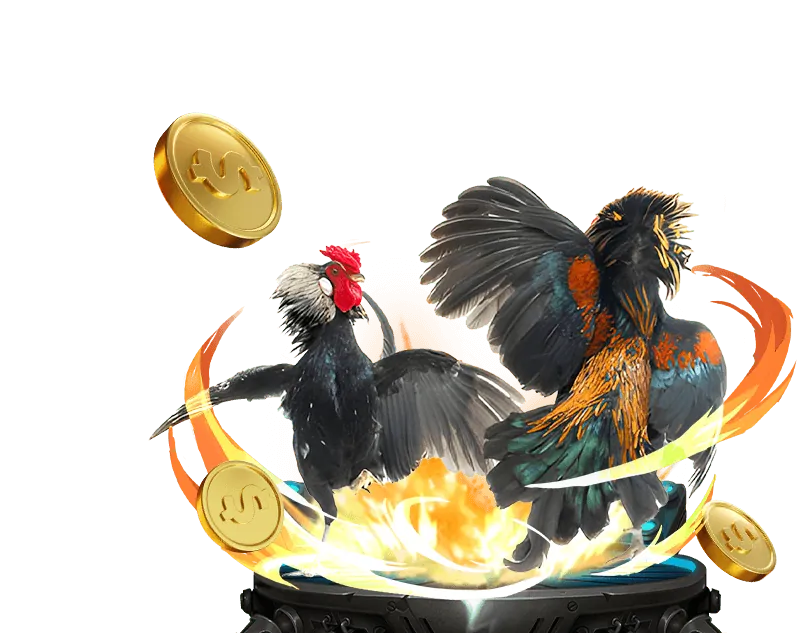 Slot game đa dạng tại 13win21 nhà cái